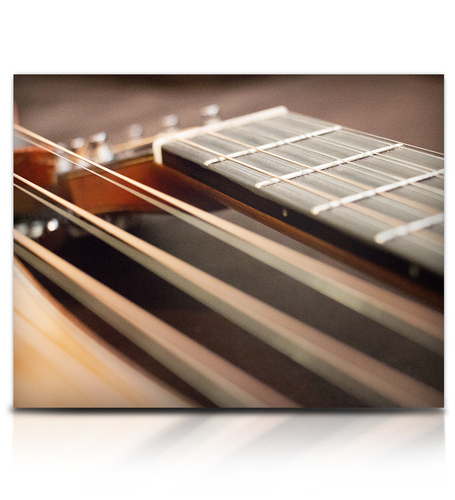 Brad Hoyt's Harp Guitar - Strings - virtual instrument sample library for Kontakt by Soundiron
